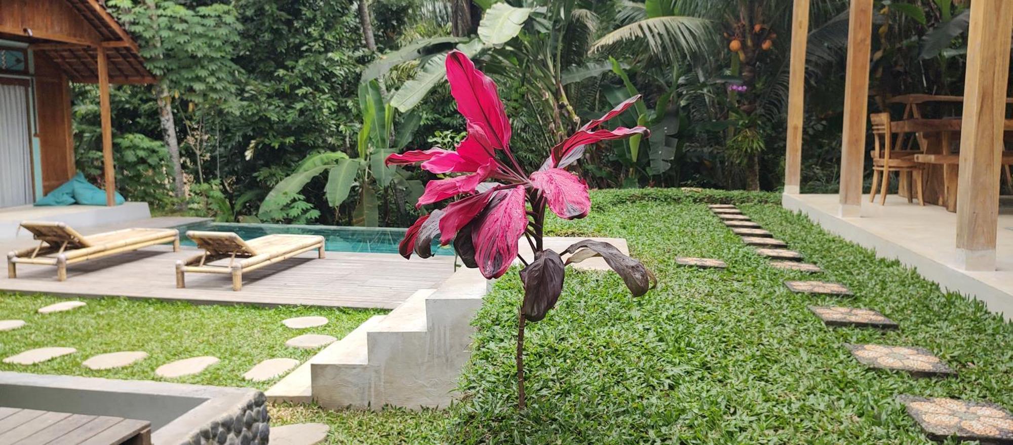 Rumah Guci Ubud Kültér fotó
