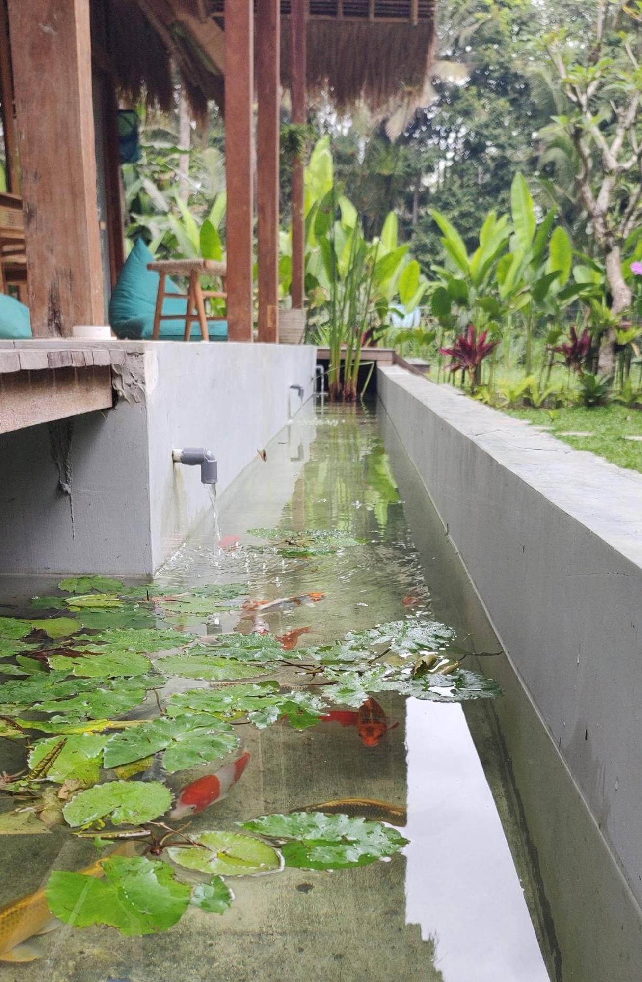 Rumah Guci Ubud Kültér fotó